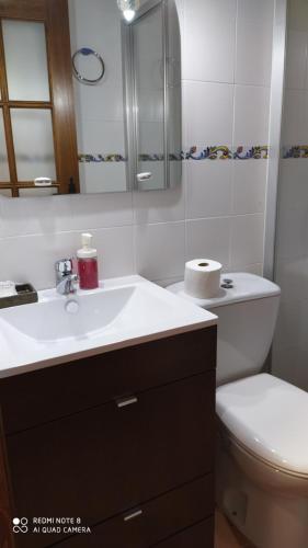 里奥帕尔Alojamiento El Parral的浴室配有白色水槽和卫生间。