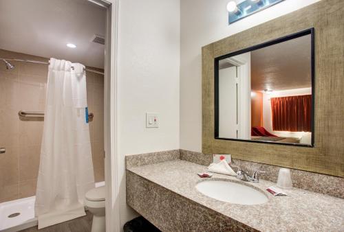 布兰森Motel 6 Branson, Mo的一间带水槽、卫生间和镜子的浴室