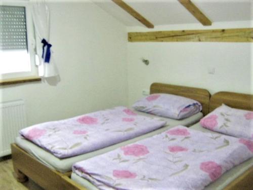 拉科维察2 bedrooms appartement with furnished balcony and wifi at Rakovica的相册照片