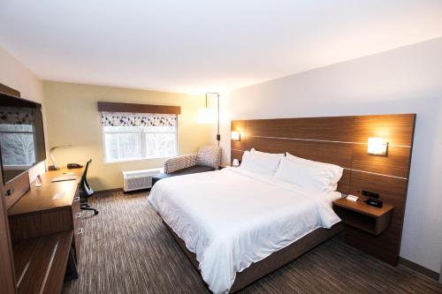 亚特兰大亚特兰大快捷假日酒店 - 东北I-85号 - 克莱尔蒙特路店的配有一张床和一张书桌的酒店客房