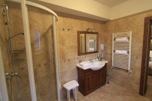 维哥迪法萨多尔希拉公园酒店的一间带水槽和淋浴的浴室