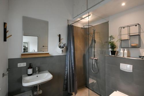 汉堡Boje 16的带淋浴和盥洗盆的浴室
