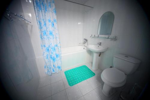撒马尔罕撒马尔罕梦想酒店 的一间带卫生间、水槽和镜子的浴室