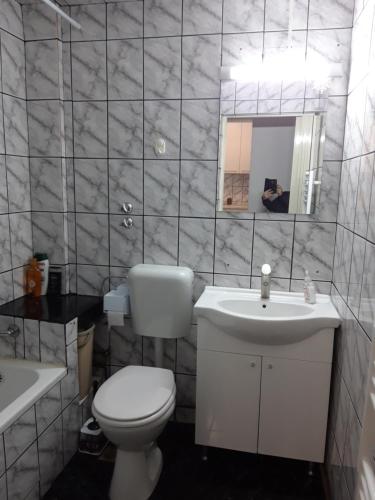 锡纳亚Apartament Elena的一间带卫生间、水槽和镜子的浴室