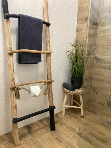 萨图马雷SOLE Apartment 2的植物浴室内的毛巾梯