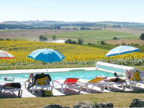 PauilhacPropriete d'une chambre avec vue sur la ville piscine partagee et jardin amenage a Pauilhac的一群人躺在泳池边的椅子和遮阳伞下