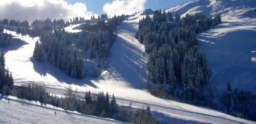 莱热Studio a Les Gets a 300 m des pistes avec jardin et wifi的享有雪覆盖的山坡的空中景致