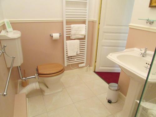 拉苏特兰莱扎城堡住宿加早餐旅馆的一间带卫生间和水槽的浴室