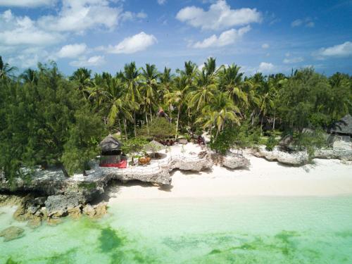 基济姆卡济COCO REEF ECOLODGE的棕榈树海滩的空中景致