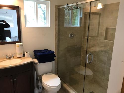 诺福克Cozy Mother-in-Law Suite的带淋浴、卫生间和盥洗盆的浴室