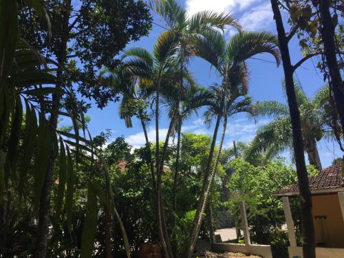 邦比尼亚斯Casa Mico Leão Dourado的一群棕榈树在房子前面