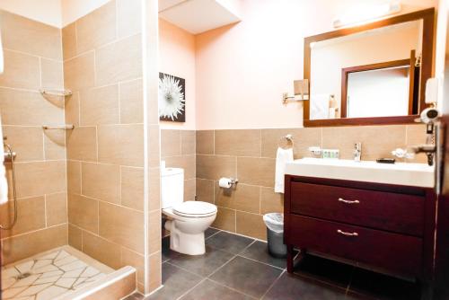 帕皮提萨拉努伊酒店的一间带卫生间、水槽和镜子的浴室