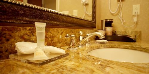 卡特雷特行政套房酒店的浴室的柜台设有水槽和镜子