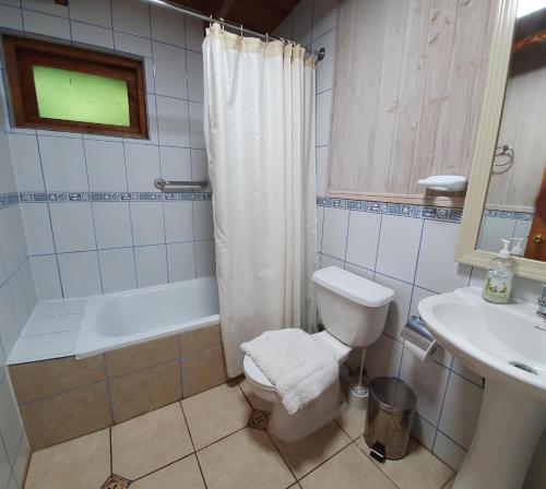 普孔Hola Pucon的浴室配有卫生间、淋浴和盥洗盆。