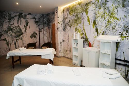 波罗维茨Flora Hotel - Apartments的一间设有两张床和壁画的房间