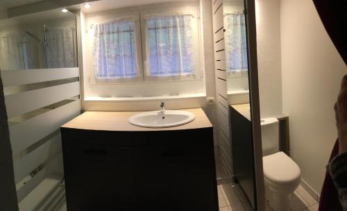 LaveyronLe pti logis的一间带水槽、窗户和卫生间的浴室