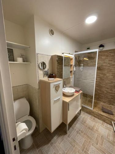 帕拉瓦莱弗洛appartement atypique en duplex的浴室配有卫生间、盥洗盆和淋浴。