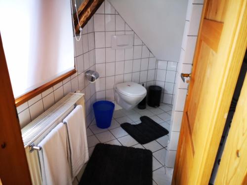 罗伊特林根charmante Pension zentral的一间带卫生间和水槽的小浴室