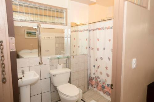 科克Hotel Laura's House的浴室配有卫生间、盥洗盆和淋浴。