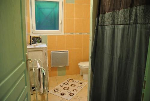 拉马斯特尔Gite De La Suche的浴室设有卫生间、窗户和浴帘