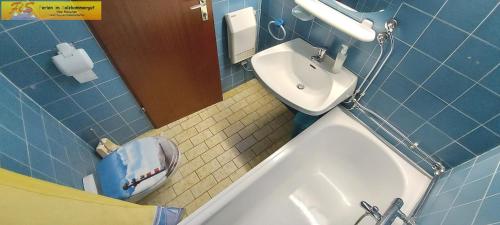 陶普利茨Apartment Mary by FiS - Fun in Styria的一间带卫生间和水槽的小浴室