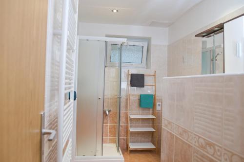 乌帕河畔斯沃博达Apartmán Pod Černou Horou的浴室设有步入式淋浴间,位于玻璃门旁