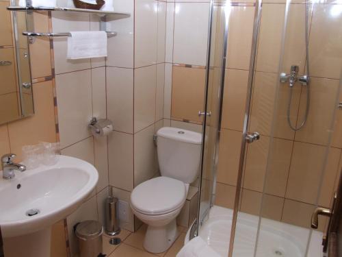 普雷代亚尔维罗纳普雷代亚尔大厦酒店的浴室配有卫生间、盥洗盆和淋浴。