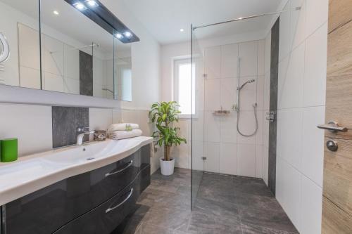 施图拜河谷新施蒂夫特Apartment Jasmin的一间带水槽和淋浴的浴室
