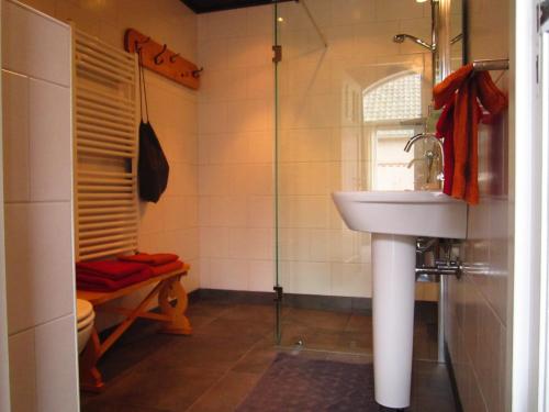莱尔瑟姆克莱恩格洛恩贝根住宿加早餐旅馆的一间带水槽和淋浴的浴室