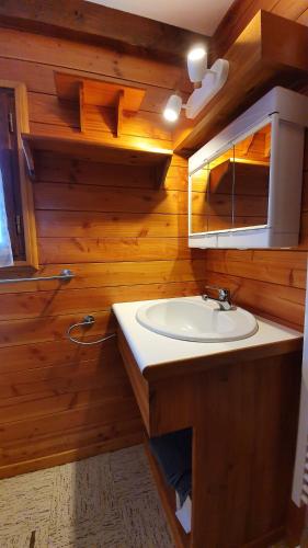 Chalet Individuel Les Sorbiers - 80m2 - Jardin - Barbecue - Wifi - Netflix - Ski & Randonnée - Pyrénées Catalanes Françaises -的一间浴室