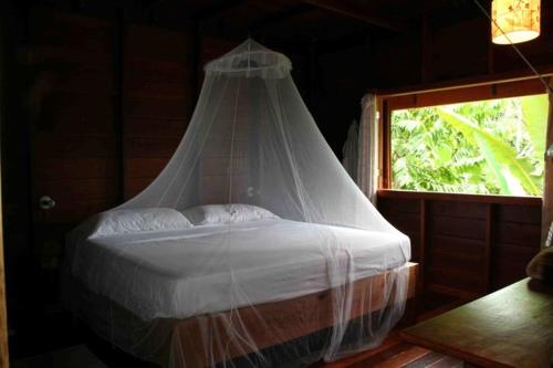 别霍港La Ceiba Reserva Natural的一间卧室配有一张带蚊帐的床