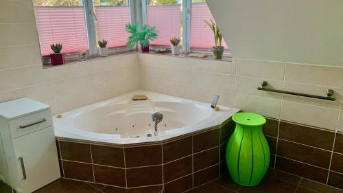 波茨坦菲尤艾沐克朗加特伯恩斯达特公寓的浴室设有绿色花瓶浴缸