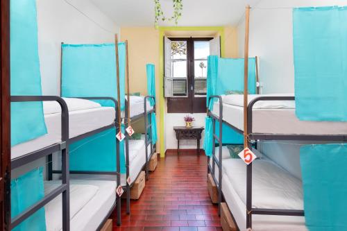 拉拉古纳Patio Hostel的一间设有一张双层床的房间