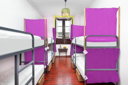 拉拉古纳Patio Hostel的一辆公共汽车,在一间房间里装有紫色双层床
