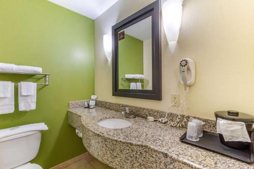 杰克逊维尔杰克逊维尔司丽普酒店的一间带水槽、卫生间和镜子的浴室
