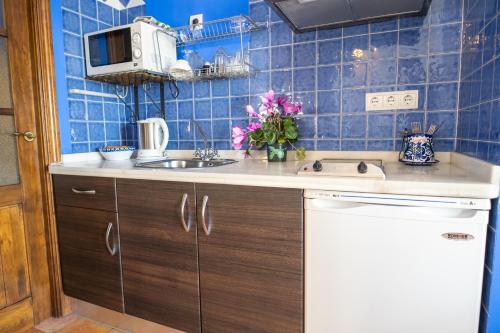 格拉纳达蒙特斯卡拉若斯公寓酒店的一间带水槽和微波炉的小厨房