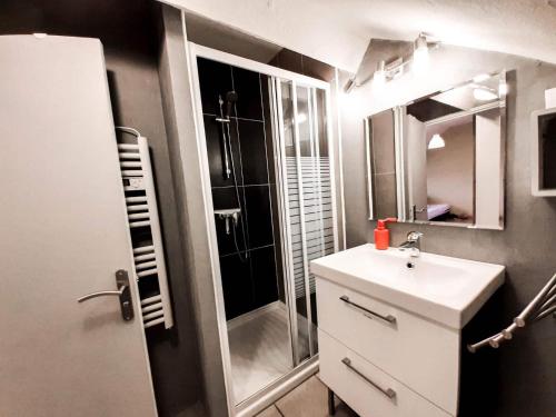 阿姆博斯Calme & Cosy - Parking privé-Gare的带淋浴、盥洗盆和镜子的浴室