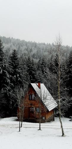 冬天的Holiday Home Ljubicica