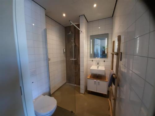 东福尔讷Beach Hotel Oostvoorne的浴室配有卫生间、盥洗盆和淋浴。