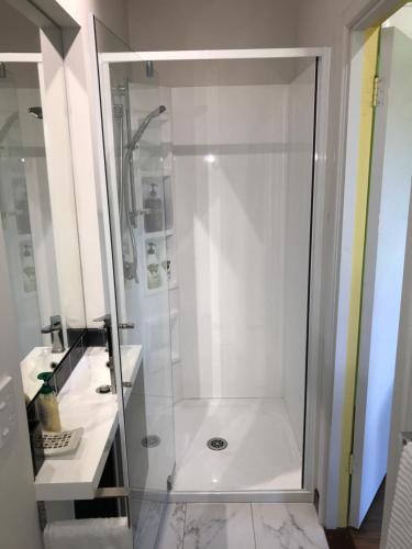 因弗卡吉尔City central apartment – modern, private & quiet的浴室里设有玻璃门淋浴
