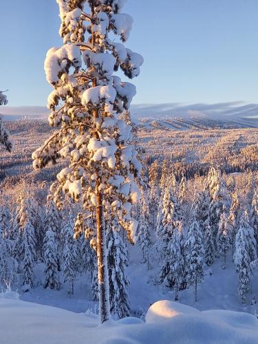 冬天的Mysig lägenhet med fjällutsikt i Sälen