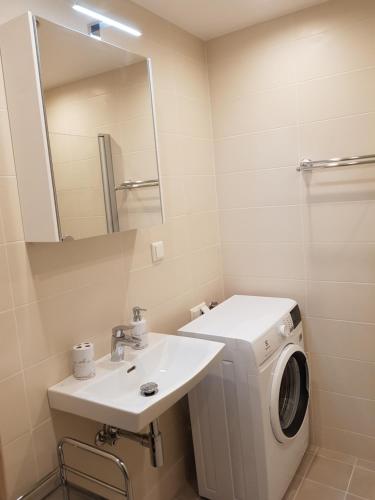 塔林Heli apartment的一间带洗衣机和水槽的浴室