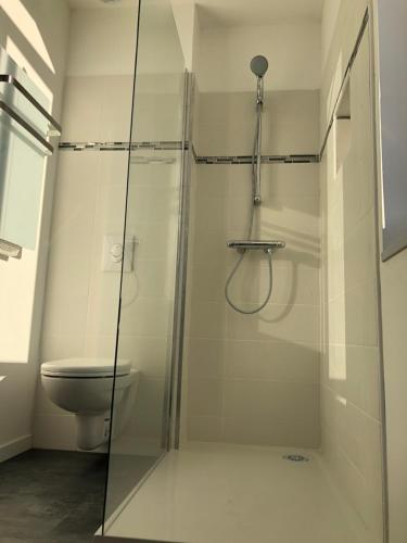 杜埃Appartement calme, chaleureux et lumineux的浴室设有玻璃淋浴间和卫生间