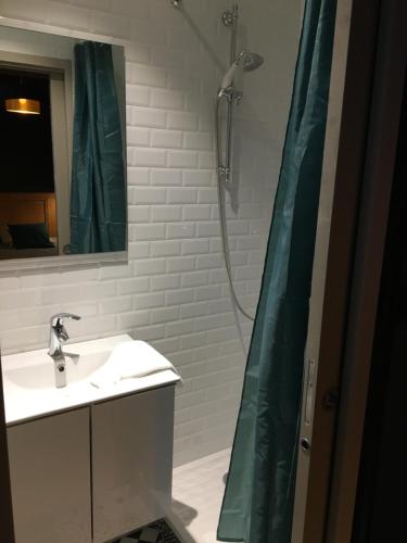 ChamblesEss'folie Gîte的浴室配有淋浴帘和盥洗盆。