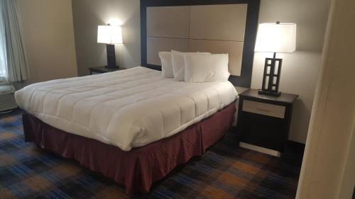 彭萨科拉REGENCY INN & SUITES的一张大床,位于酒店带两盏灯的房间