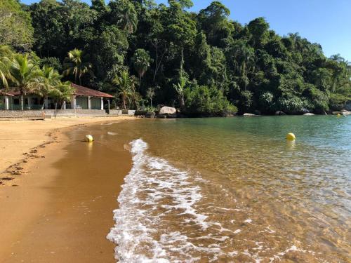 安格拉杜斯雷斯Pousada Vitorino的海滩上有树木的海岸线
