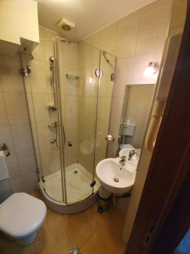GherlaMerion的带淋浴、卫生间和盥洗盆的浴室