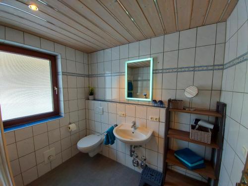 GraswangFewo Sonnenberg Graswang的一间带水槽、卫生间和镜子的浴室
