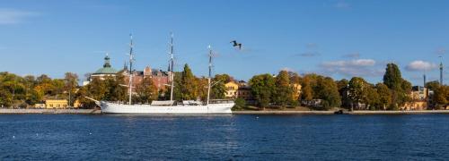 斯德哥尔摩瑞典旅游的查普曼和思科普索尔门国际青年旅舍的水中的小船,鸟飞在上面