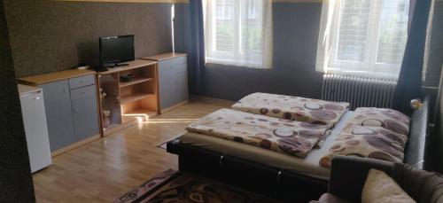 拉贝河畔乌斯季Ubytování u Kováře的一间带床和电视的小卧室